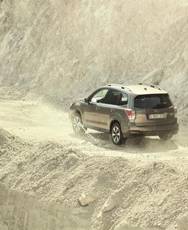 BRAND_PHOTOGRAPHY_SUMMER16_FORESTER_GRADE A_4963_300_CMYK HR